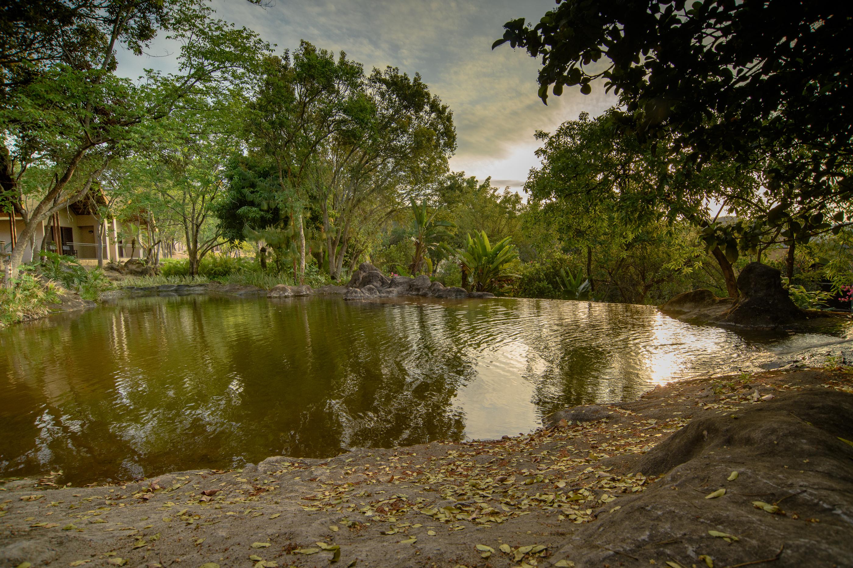 Umbhaba Eco Lodge Хейзивю Екстериор снимка